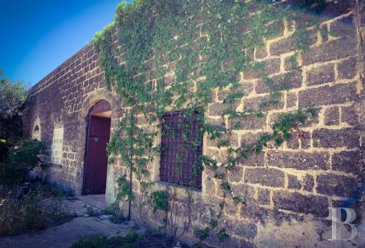 A 19th century, traditional masseria farmhouse and its 3.5 ha of land,  planted with olive trees, near to the sea, in the ...