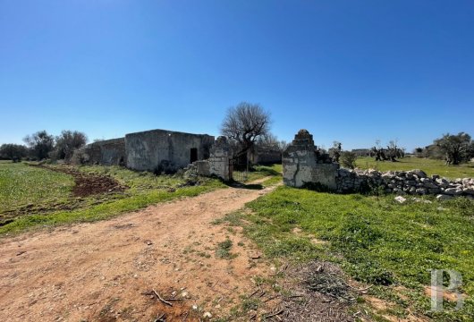 A traditional masseria farmhouse, awaiting restoration, and its olive grove  in Sant'Isidoro on the shores of the Ionian ...