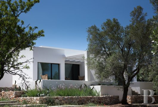 A designer house in Carovigno, between two seas and an ocean of ancient olive trees