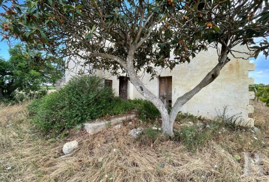 An 80 m², country house, with a vineyard,  in the area around Nardò