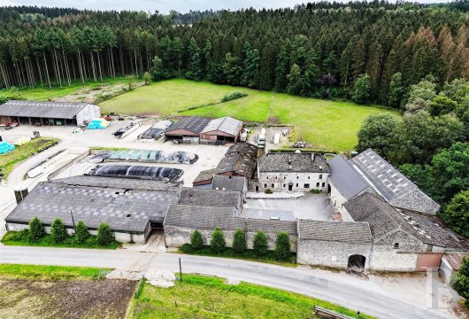 A farm to be renovated, free of leases from 2025, nestled in Belgium’s Liège Province