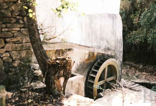 Between forest and river, on the outskirts of Magoito, an old mill and 5,000 m² of natural solitude