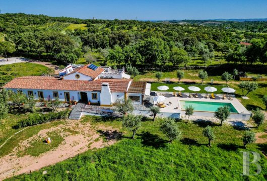North of the Alqueva Dam, an Alentejo villa and its suites in a 1.25-hectare olive grove