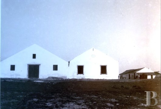 In the Sado Estuary Nature Reserve, a 44-hectare site with nine dilapidated buildings in need of restoration