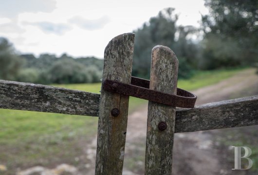 In Menorca, in the countryside near Alaior, a 74-hectare rural property with farm buildings and a view of Mount ...