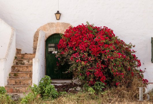 In Menorca, near the pristine beaches south of Ciutadella, a 130-hectare rural estate in need of restoration