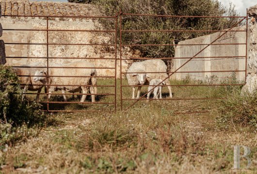In the Menorca countryside, near Cala en Porter, a 112-hectare property dating from 1896 with a house of approximately ...