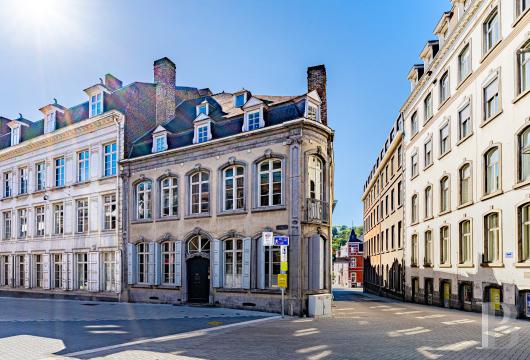 In Namur, in the historic centre, a mansion dating from around 1760 and its garden